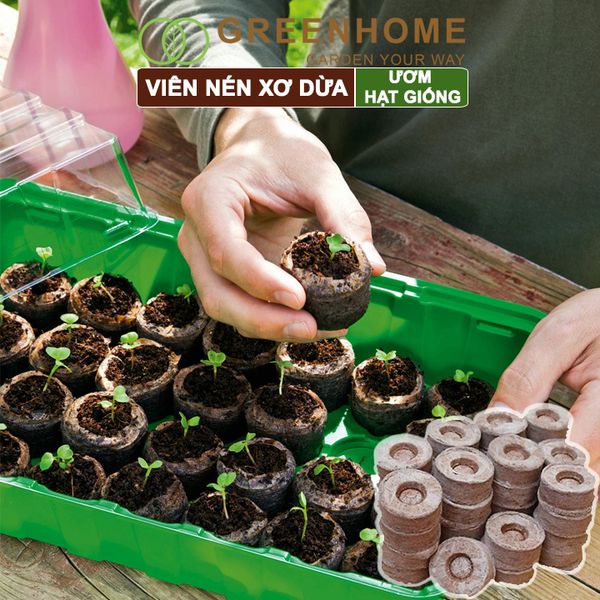 Viên nén xơ dừa, bao 50 viên, ươm hạt giống trồng cây, ươm hạt, ươm cây giống, trồng dâu tây, thuỷ canh |Greenhome