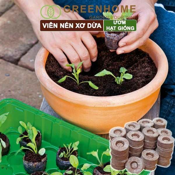 Viên nén xơ dừa, bao 50 viên, ươm hạt giống trồng cây, ươm hạt, ươm cây giống, trồng dâu tây, thuỷ canh |Greenhome