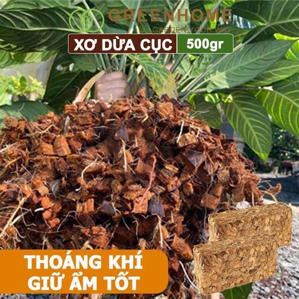 Xơ dừa cục Greenhome, viên 500gr, sơ dừa nén, nở gấp 5 lần, kích thích rễ, thoát nước tốt giá thể kiểng lá, phong lan