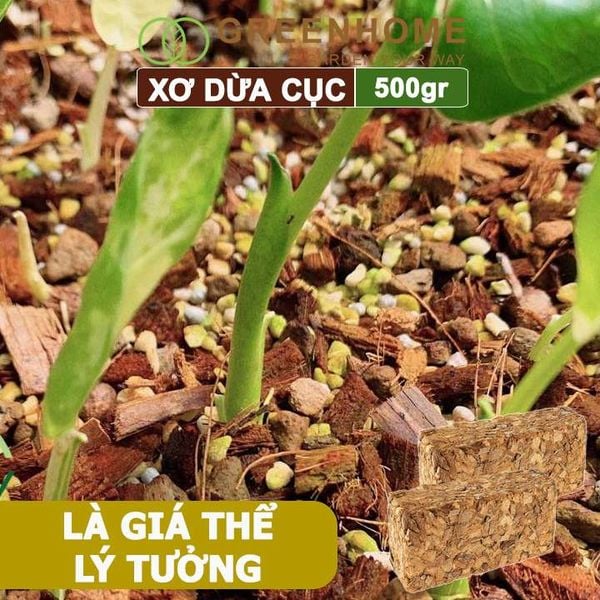 Xơ dừa cục Greenhome, viên 500gr, sơ dừa nén, nở gấp 5 lần, kích thích rễ, thoát nước tốt giá thể kiểng lá, phong lan