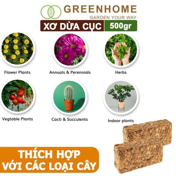 Xơ dừa cục Greenhome, viên 500gr, sơ dừa nén, nở gấp 5 lần, kích thích rễ, thoát nước tốt giá thể kiểng lá, phong lan