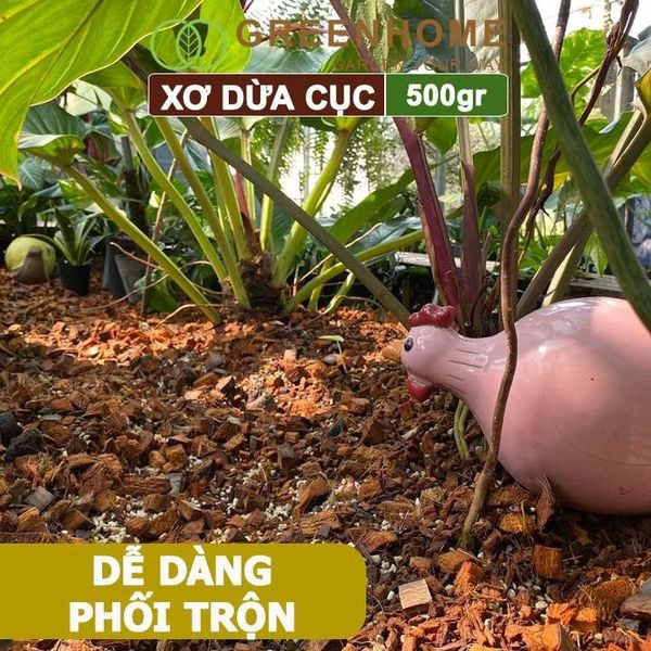 Xơ dừa cục Greenhome, viên 500gr, sơ dừa nén, nở gấp 5 lần, kích thích rễ, thoát nước tốt giá thể kiểng lá, phong lan