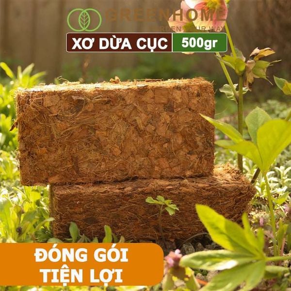 Xơ dừa cục Greenhome, viên 500gr, sơ dừa nén, nở gấp 5 lần, kích thích rễ, thoát nước tốt giá thể kiểng lá, phong lan