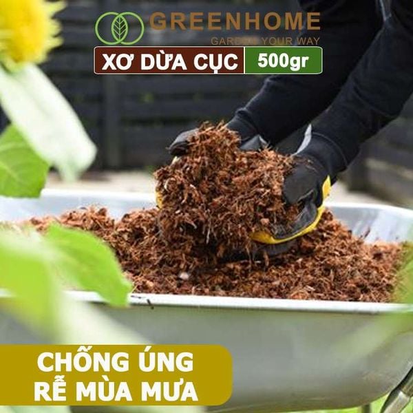 Xơ dừa cục Greenhome, viên 500gr, sơ dừa nén, nở gấp 5 lần, kích thích rễ, thoát nước tốt giá thể kiểng lá, phong lan