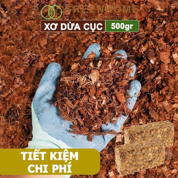 Xơ dừa cục Greenhome, viên 500gr, sơ dừa nén, nở gấp 5 lần, kích thích rễ, thoát nước tốt giá thể kiểng lá, phong lan
