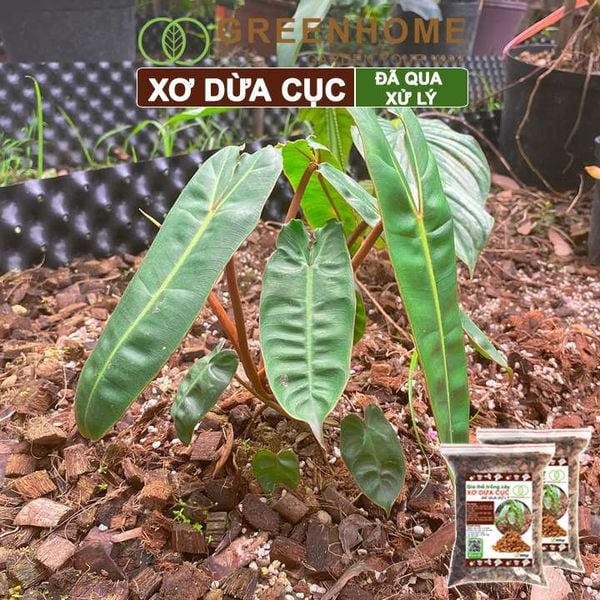 Xơ dừa cục đã qua xử lý Greenhome, size 1-2cm, bao 400gr, giá thể kiểng lá, phong lan