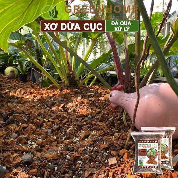 Xơ dừa cục đã qua xử lý Greenhome, size 1-2cm, bao 400gr, giá thể kiểng lá, phong lan
