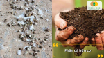Giải pháp tự nhiên giúp đất tơi xốp, cây luôn xanh tốt!