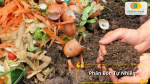 Dinh dưỡng từ thiên nhiên cho cây khoẻ mạnh, đất tơi xốp, an toàn tuyệt đối cho người trồng