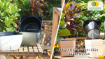 Chậu tự điều chỉnh độ ẩm – bí quyết giúp cây luôn tươi tốt dù bạn bận rộn đến đâu