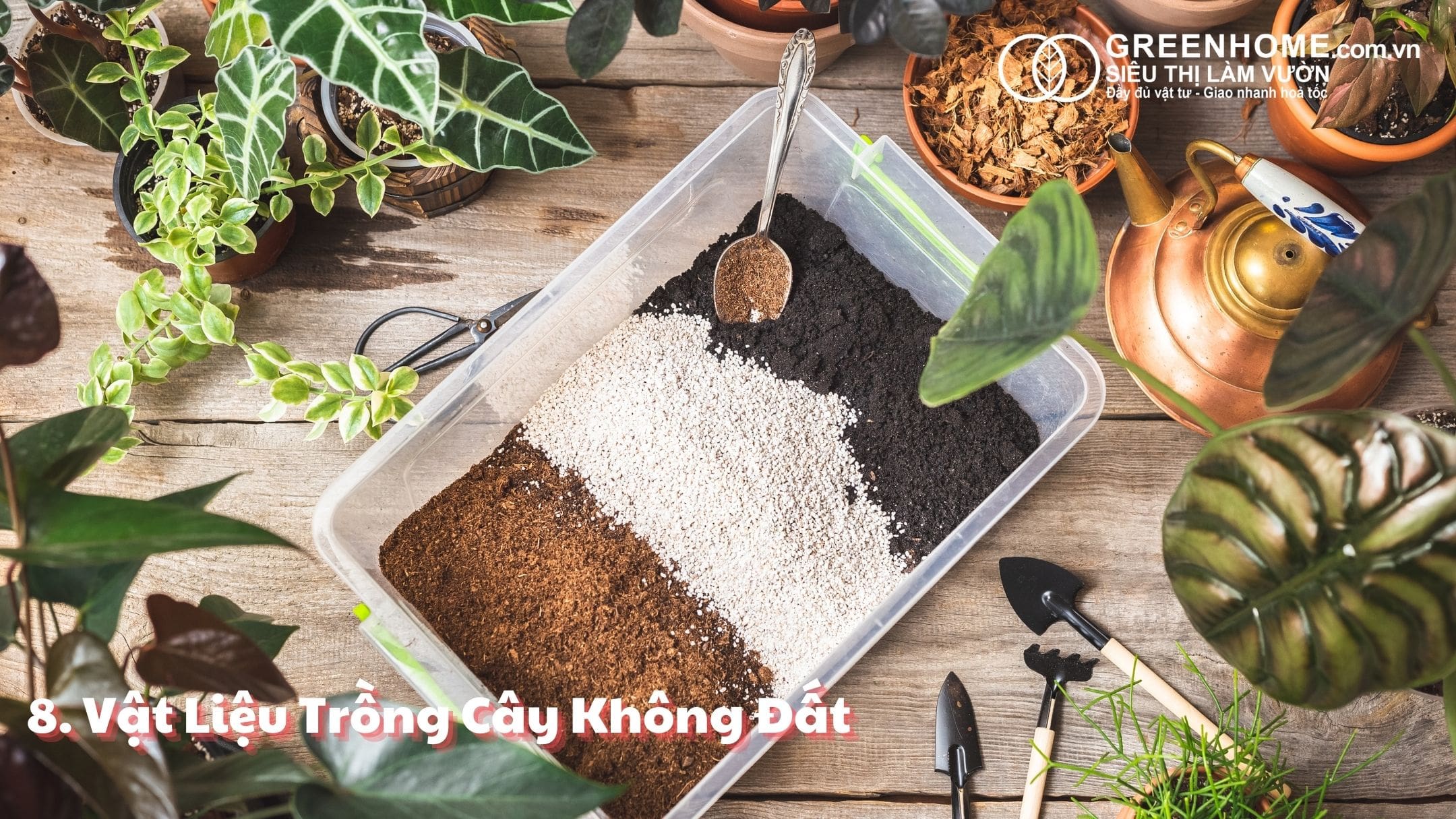 Top 10 Xu Hướng Vật Tư Làm Vườn trong Năm 2024