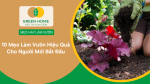 10 Mẹo Làm Vườn Hiệu Quả Cho Người Mới Bắt Đầu