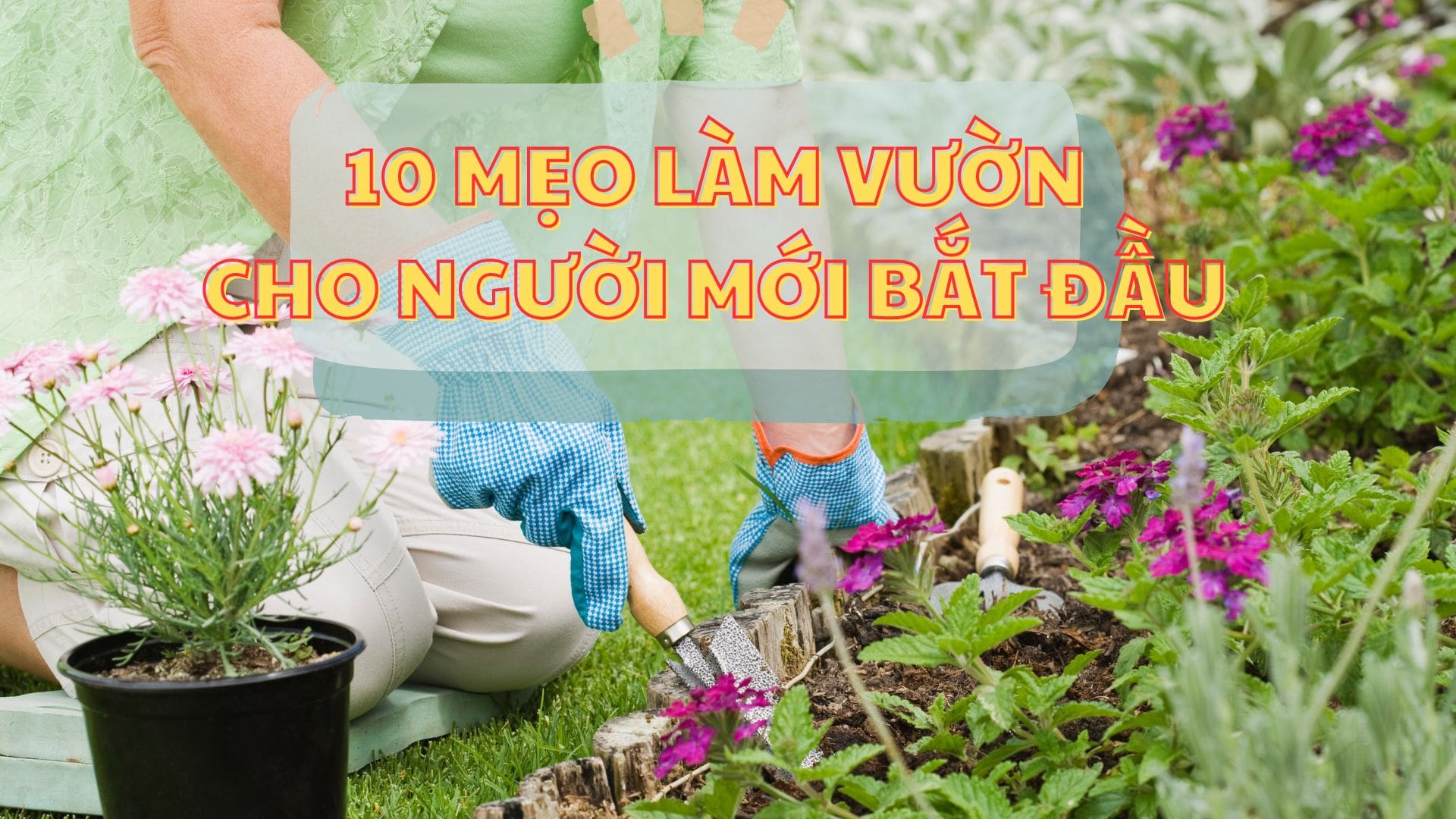 10 Mẹo Làm Vườn Hiệu Quả Cho Người Mới Bắt Đầu