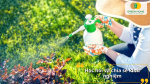 Mỗi người làm vườn đều là một “người thầy” – chia sẻ để cùng nhau trồng cây tốt hơn mỗi ngày