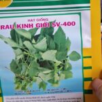 Ảnh khách chụp sản phẩm