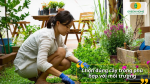 Chọn đúng cây trồng phù hợp với môi trường