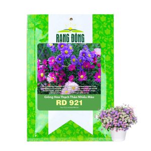 Hạt Giống Hoa Thạch Thảo, Gói 0.2gr, Dễ Trồng Quanh Năm, Tỷ Lệ Nảy Mầm Cao H14