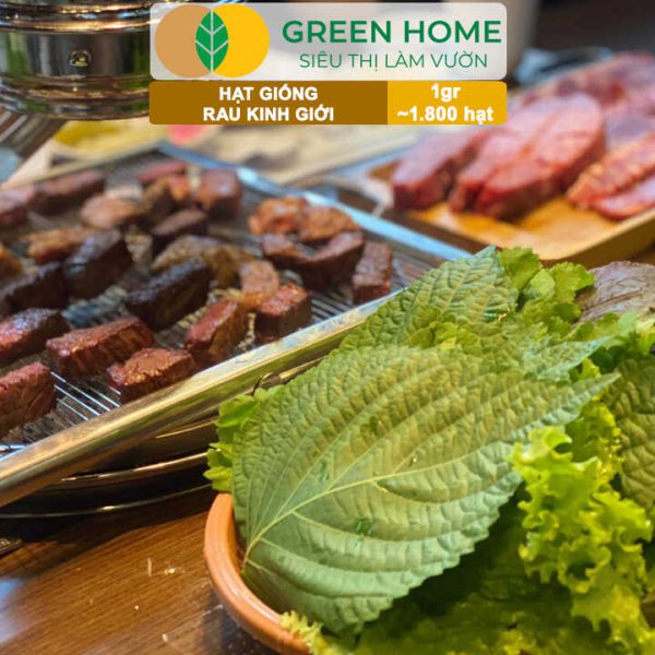 Hạt Giống Rau Kinh Giới, Bao 1gr ~ 1800 hạt, G12