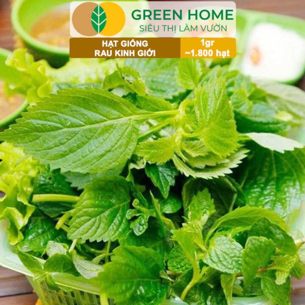 Hạt Giống Rau Kinh Giới, Bao 1gr ~ 1800 hạt, G12