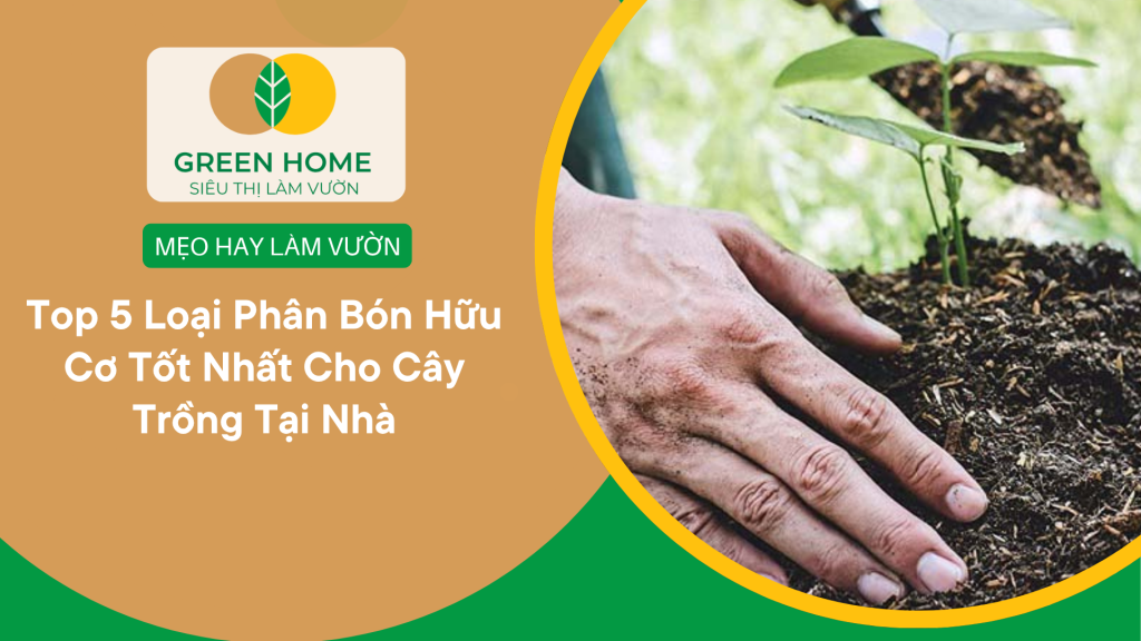 Top 5 Phân Bón Hữu Cơ Tốt Nhất