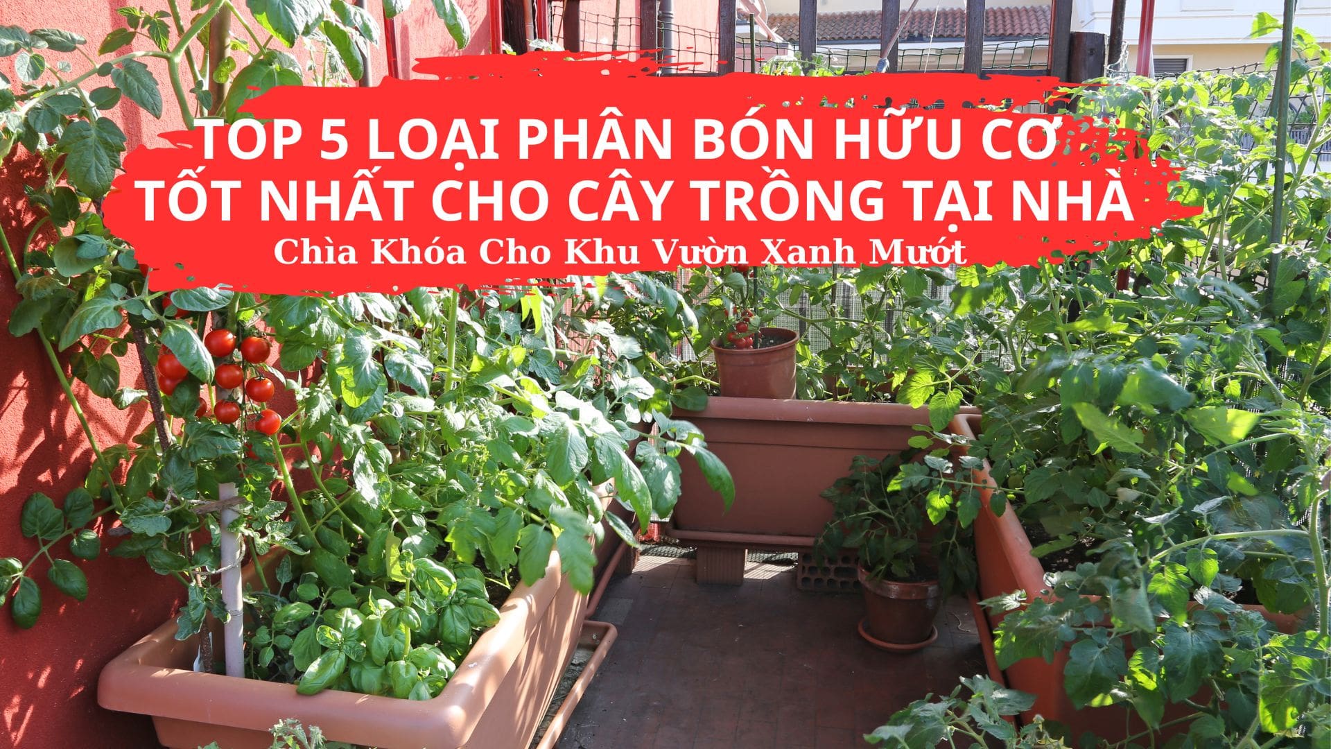 Top 5 Phân Bón Hữu Cơ Tốt Nhất: Biến Ban Công, Sân Thượng Thành Vườn Địa Đàng