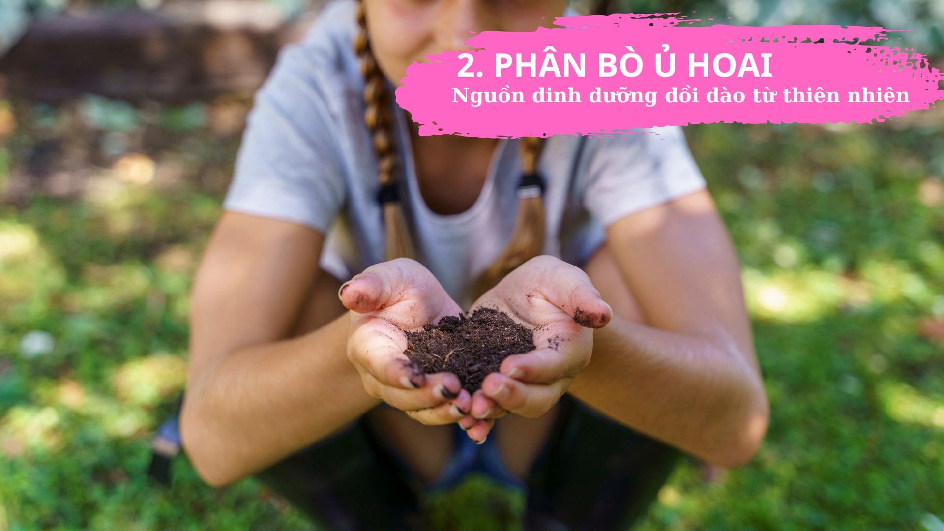 Top 5 Phân Bón Hữu Cơ Tốt Nhất: Biến Ban Công, Sân Thượng Thành Vườn Địa Đàng