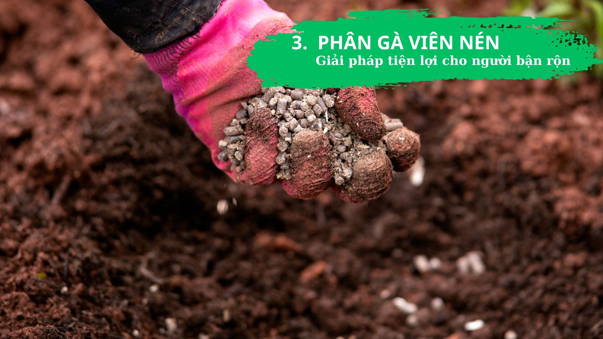 Top 5 Phân Bón Hữu Cơ Tốt Nhất: Biến Ban Công, Sân Thượng Thành Vườn Địa Đàng