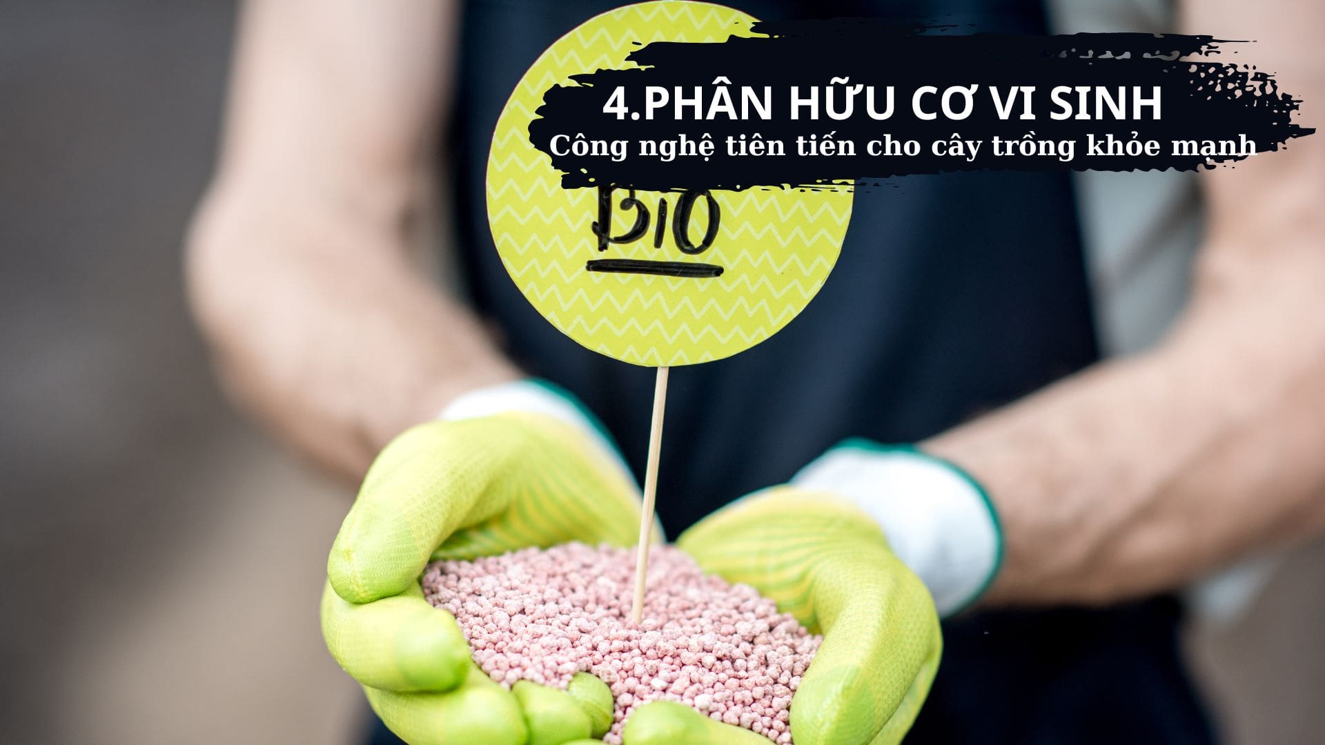 Top 5 Phân Bón Hữu Cơ Tốt Nhất: Biến Ban Công, Sân Thượng Thành Vườn Địa Đàng