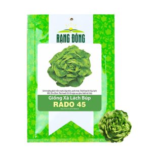 Hạt Giống Xà Lách Búp, Gói 5gr, Dễ Trồng Quanh Năm, Thu Hoạch Nhanh, Năng Suất Cao R20