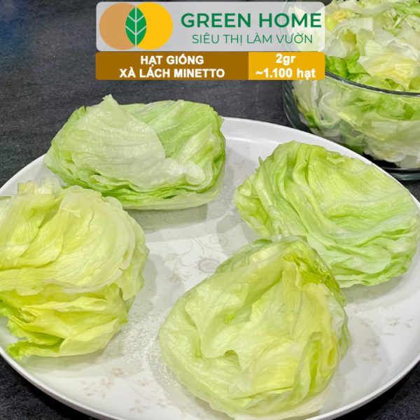 Hạt Giống Xà Lách Minetto, Gói 2gr R19