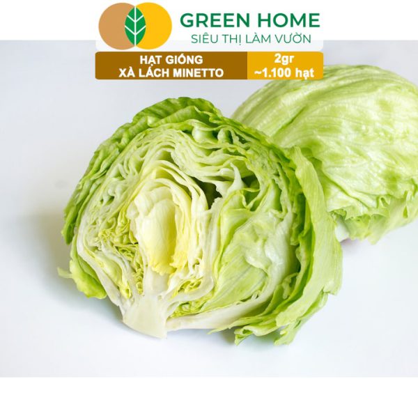 Hạt Giống Xà Lách Minetto, Gói 2gr R19