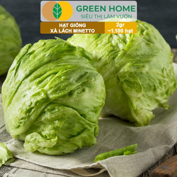 Hạt Giống Xà Lách Minetto, Gói 2gr R19