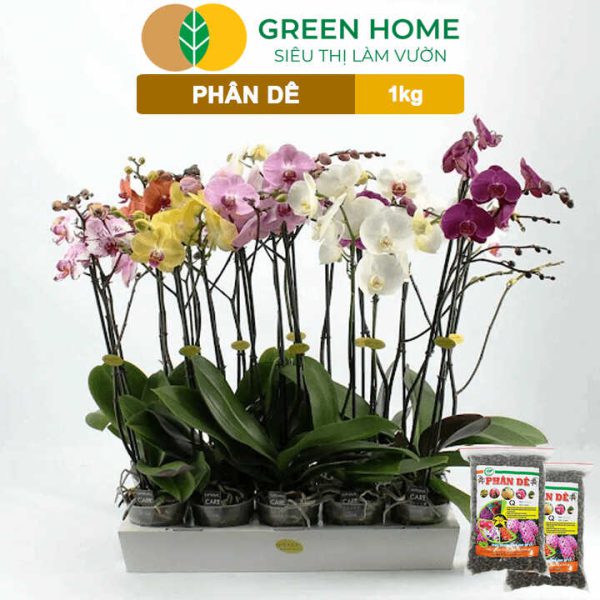Phân Dê Trồng Lan, Túi 1Kg