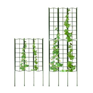 Giàn Leo Cho Cây Greenhome, Daim, Nhật Bản, Daim, R45xc125cm, Khung Hoa Hồng Leo, Cây Leo, Dễ Lắp Ráp, Độ Bền 5 Năm