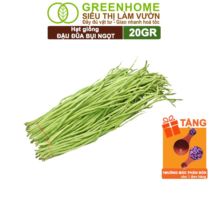 Hạt Giống Đậu Đũa Ngọt Lùn, Greenhome, Gói 20GR, Dễ Trồng Quanh Năm, Nảy Mầm Cao, T37