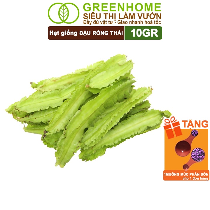 Hạt Giống Đậu Rồng Thái, Greenhome, Gói 10GR, Dễ Trồng Quanh Năm, Nảy Mầm Cao, T35