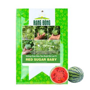 Hạt Giống Dưa Hấu Táo Ruột Đỏ, Gói 5 Hạt, Dễ Trồng Quanh Năm, Nảy Mầm Cao, T23