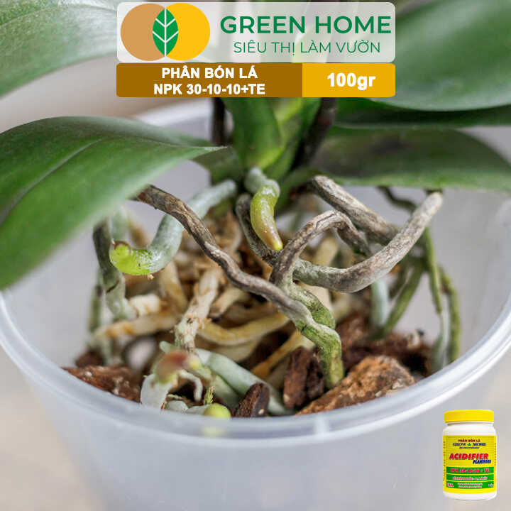 Phân Bón Lá Grow More NPK 30-10-10, Chai 100GR, Đẻ Nhánh Khỏe, Ra Lá Tốt