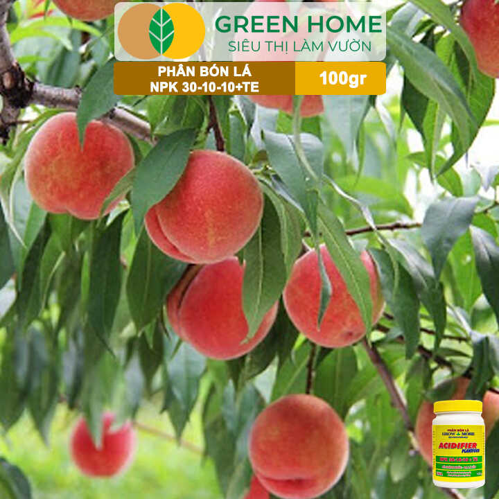 Phân Bón Lá Grow More NPK 30-10-10, Chai 100GR, Đẻ Nhánh Khỏe, Ra Lá Tốt