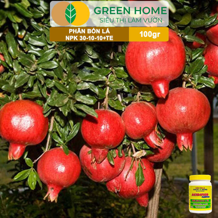 Phân Bón Lá Grow More NPK 30-10-10, Chai 100GR, Đẻ Nhánh Khỏe, Ra Lá Tốt