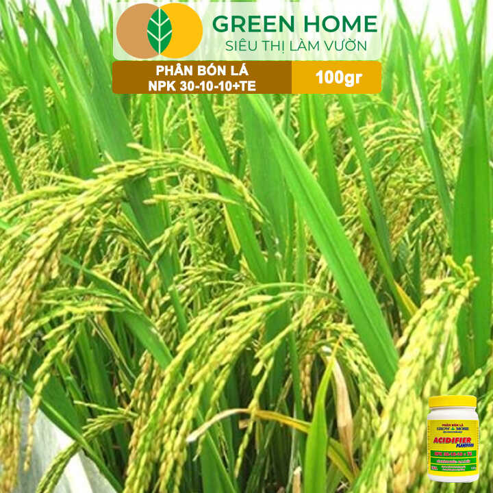 Phân Bón Lá Grow More NPK 30-10-10, Chai 100GR, Đẻ Nhánh Khỏe, Ra Lá Tốt