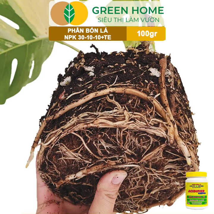 Phân Bón Lá Grow More NPK 30-10-10, Chai 100GR, Đẻ Nhánh Khỏe, Ra Lá Tốt
