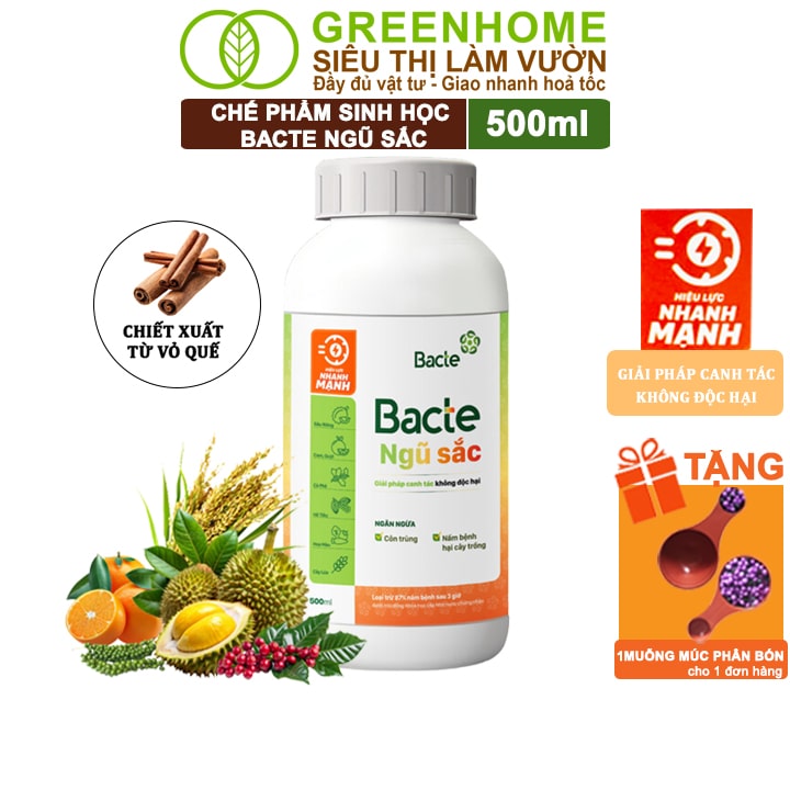 Chế Phẩm Sinh Học Bacte Ngũ Sắc, Greenhome, Chai 500ml, Ngăn Ngừa Các Loại Sâu Bệnh Hại Cây Trồng