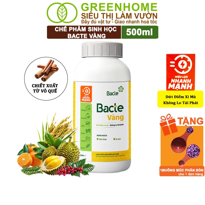 Chế Phẩm Sinh Học Bacte Vàng , Greenhome, Chai 500ml, Dứt Điểm Xì Mủ, Không Lo Tái Phát