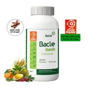 Chế Phẩm Sinh Học Bacte Xanh, Chai 500ml