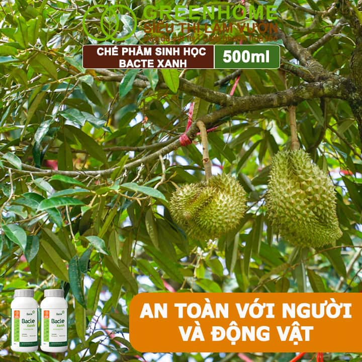 Chế Phẩm Sinh Học Bacte Xanh, Greenhome, Chai 500ml, Ngăn Ngừa Sương Mai, Phấn Trắng, Tốt Cho Cây Trồng