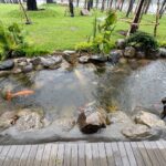 Ảnh khách chụp sản phẩm