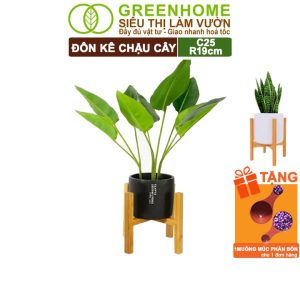 Đôn Kê Chậu Cây, C25xR19cm, Đôn Gỗ Tràm Bền Cứng, Lắp Đặt Dễ Dàng, Tăng Tính Thẩm Mỹ Chậu Cây Cảnh