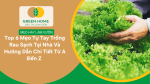 Top 6 mẹo tự tay trồng rau sạch tại nhà