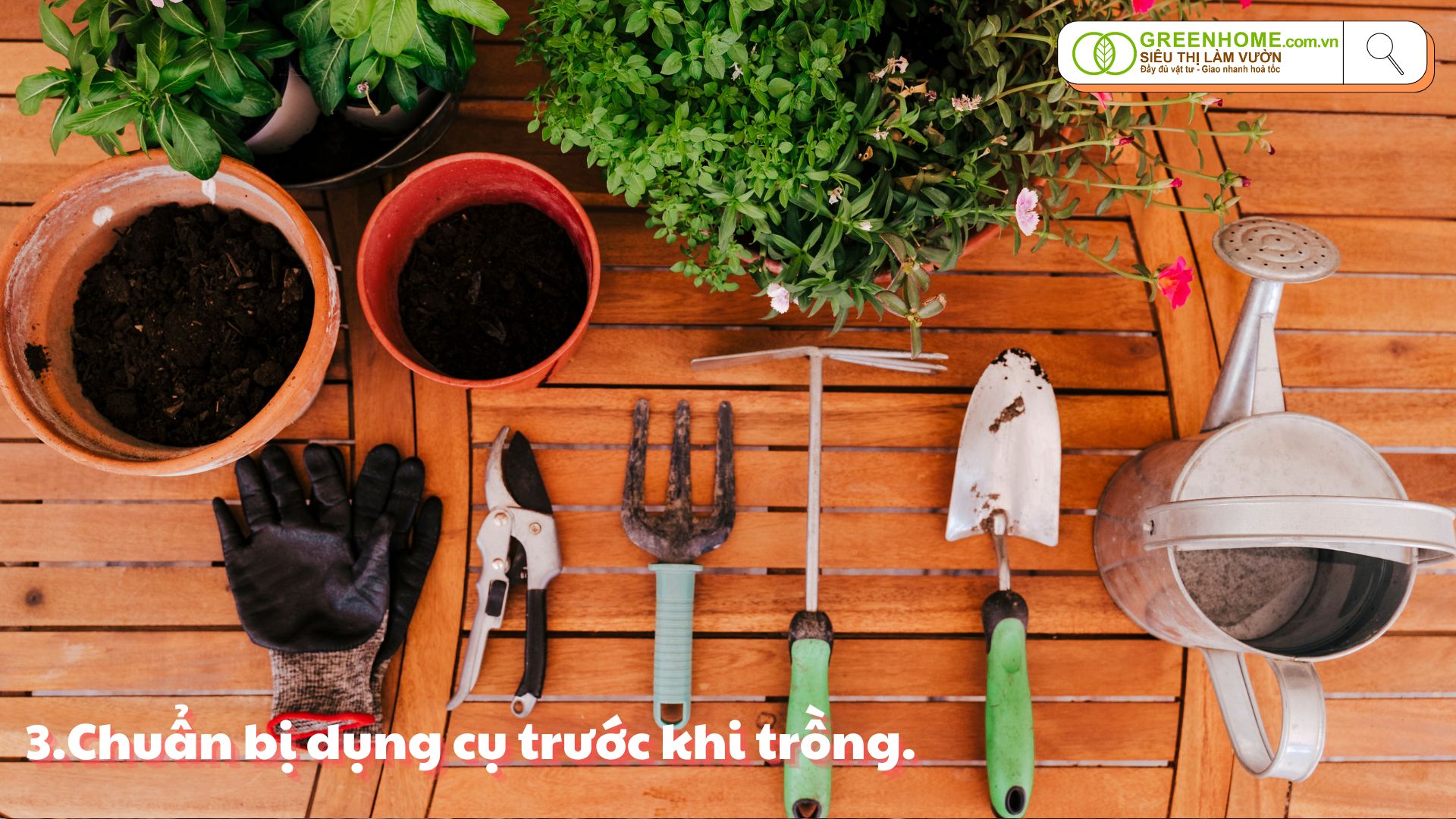 Bí quyết trồng cây ăn quả nhỏ tại ban công: Đơn giản, hiệu quả